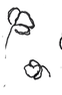 Background%2525252520Plant2_edited_edite