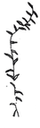 Background%2525252520Plant2_edited_edite