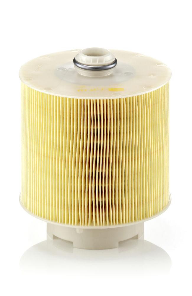 Mann Filter Luftfilter C 17 137 X