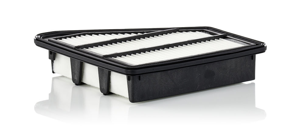 Mann Filter Luftfilter C 24 075