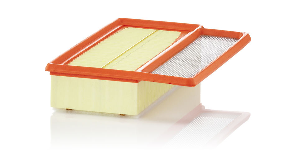 Mann Filter Luftfilter C 24 080