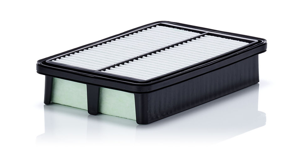 Mann Filter Luftfilter C 24 071