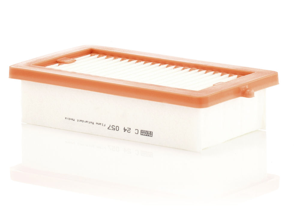 Mann Filter Luftfilter C 24 057