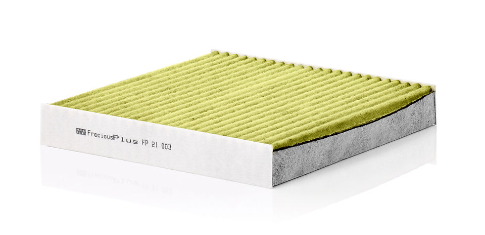 Mann Filter Innenraumfilter FP 21 003