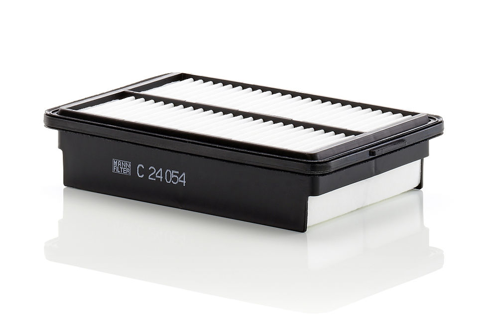 Mann Filter Luftfilter C 24 054