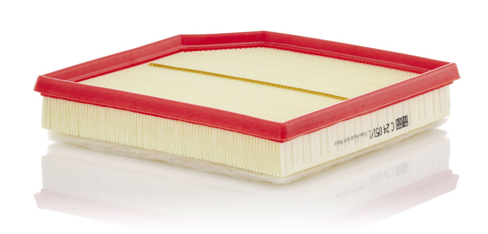 Mann Filter Luftfilter C 24 051/1