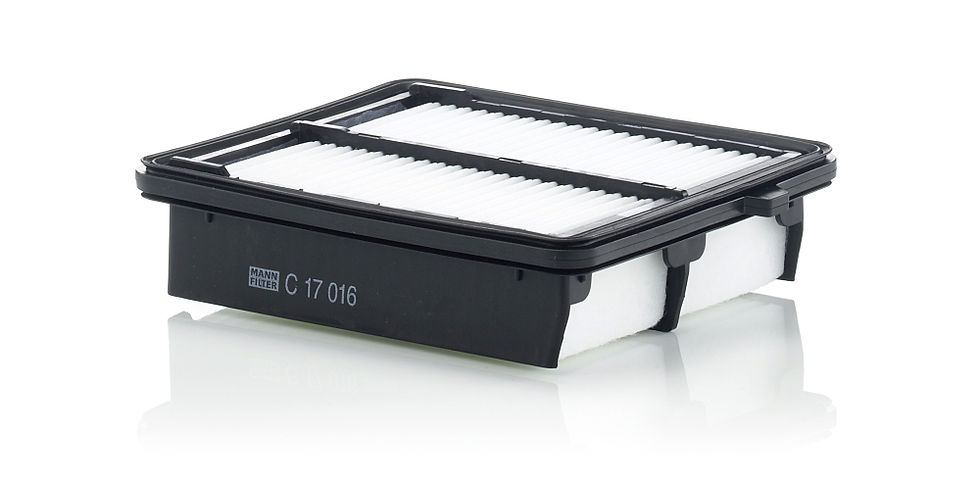 Mann Filter Luftfilter C 17 016