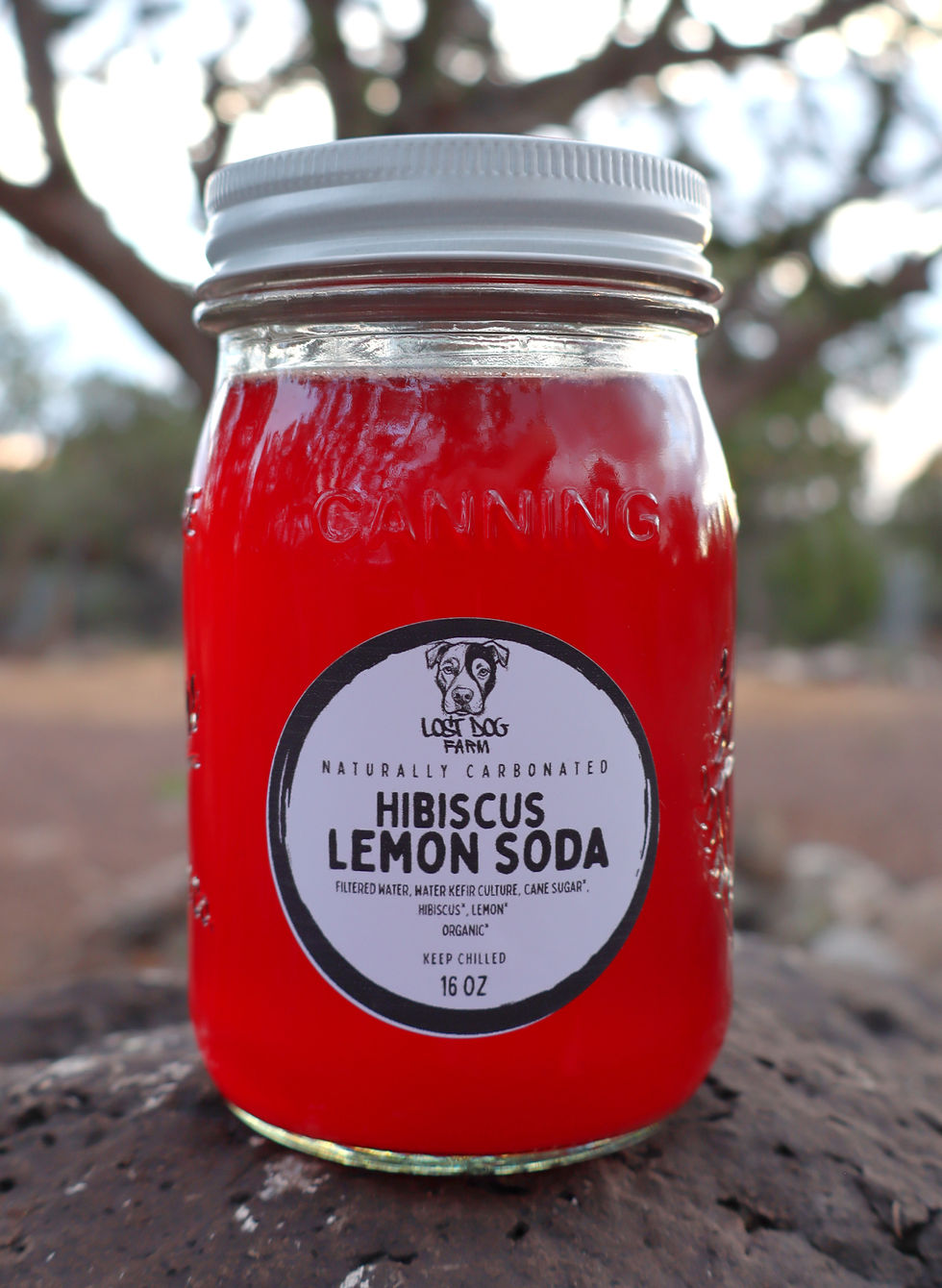 Thumbnail: Hibiscus Lemon Soda