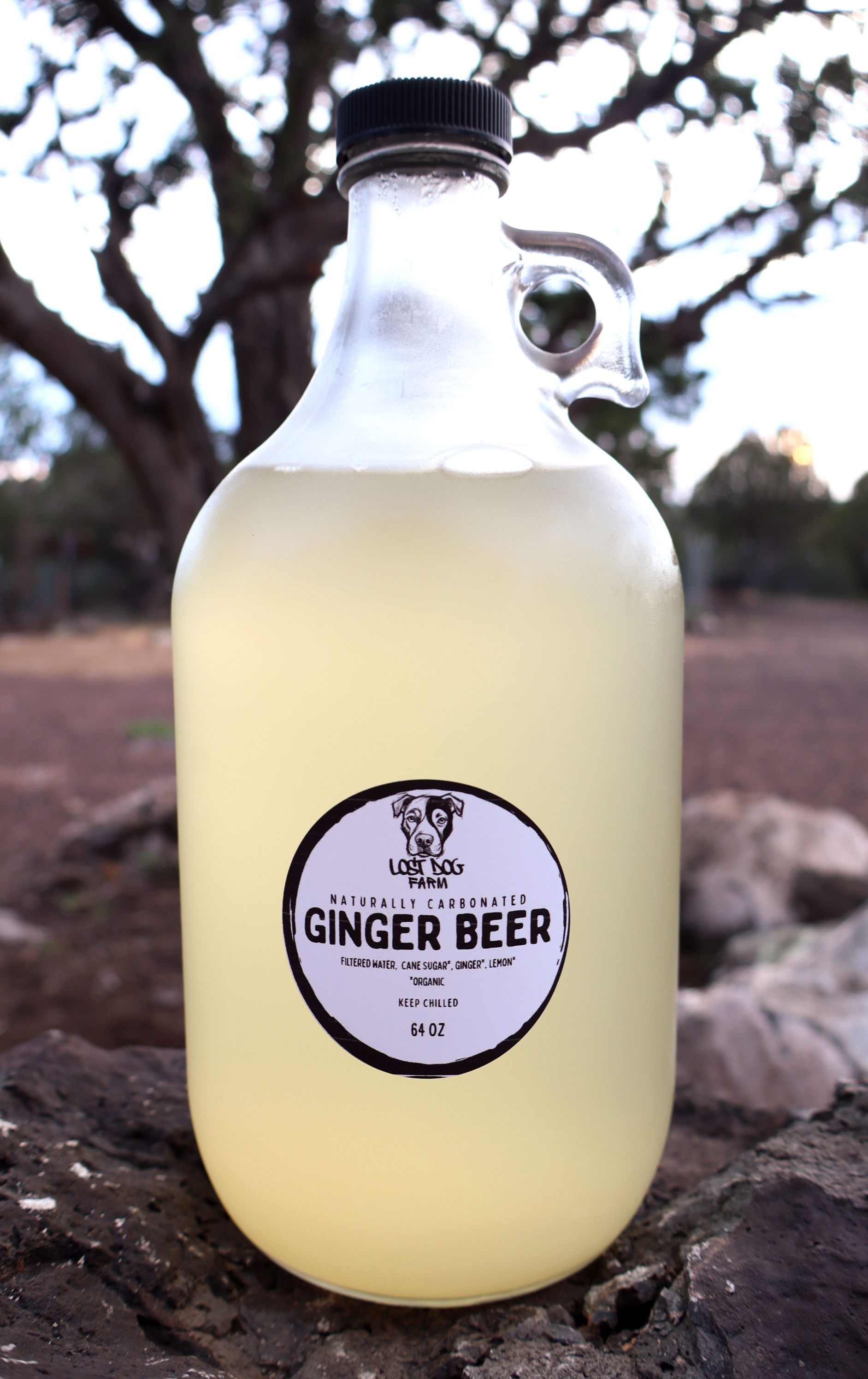 Organic Ginger Beer