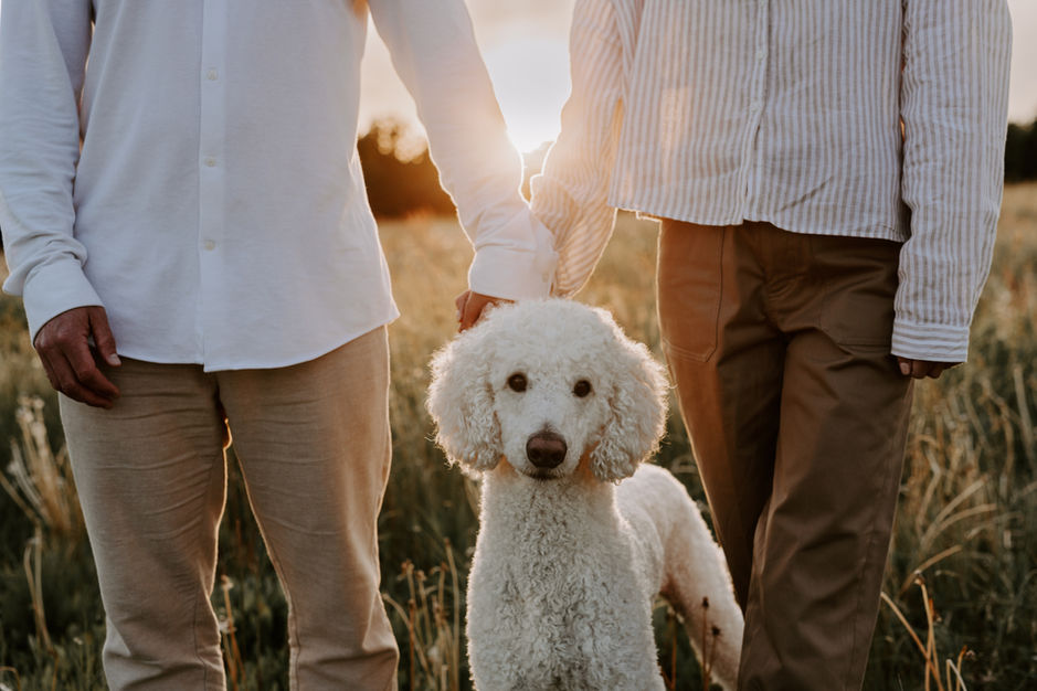 Hundefotografie Kassel