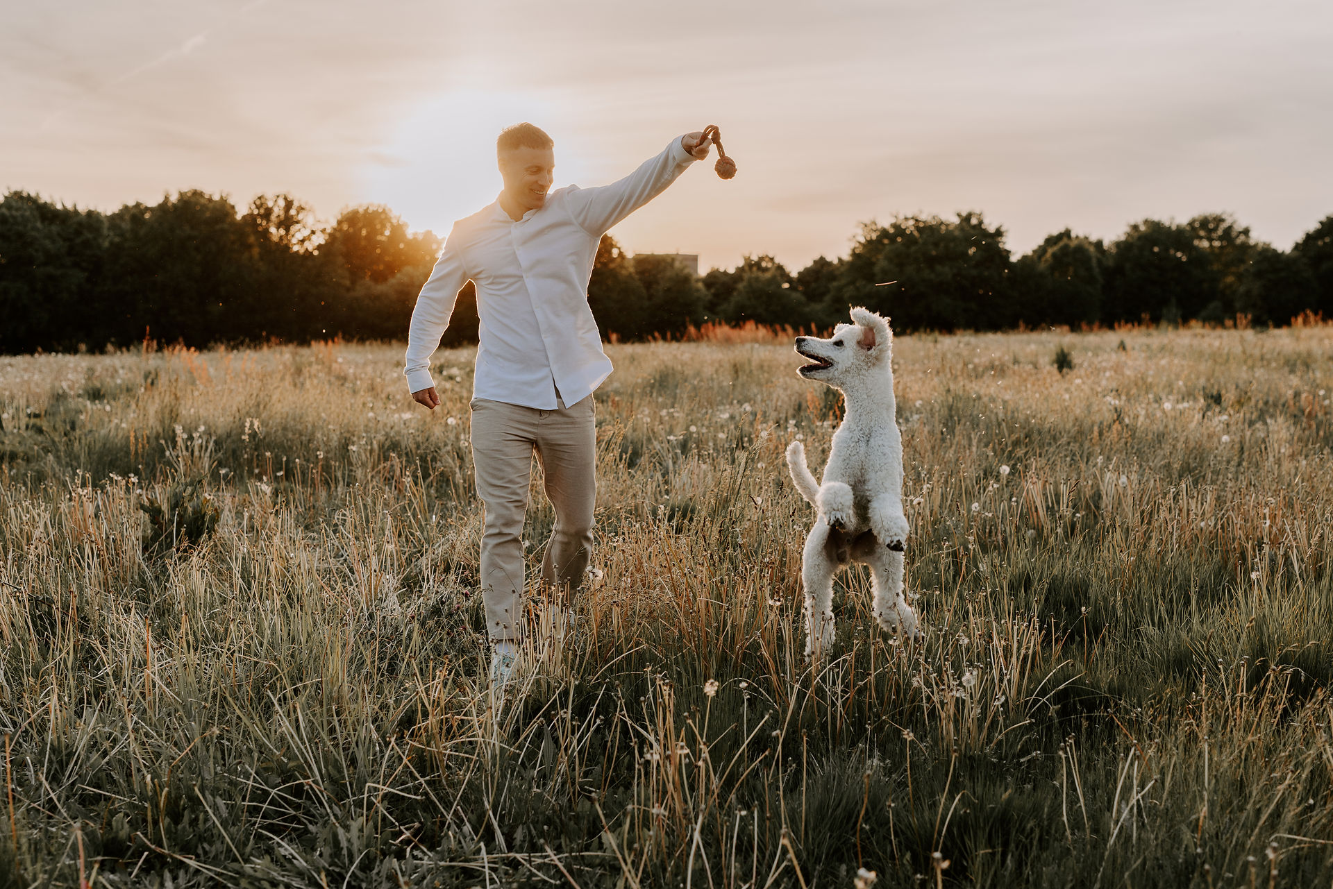 Hundefotografie Kassel