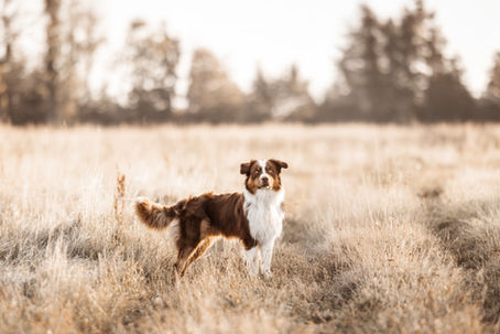 Man braucht keine perfekte Location