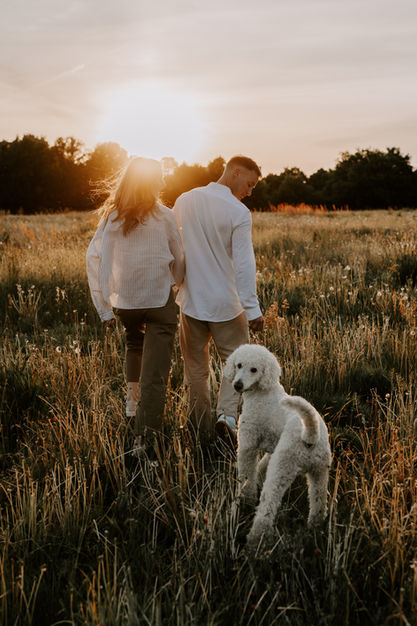 Hundefotografie Kassel