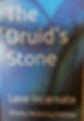 Second published novel
