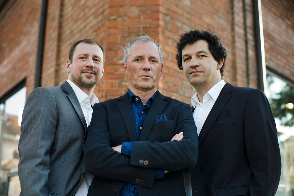 Ochsenbauer-Trio_by_Jan_Scheffner