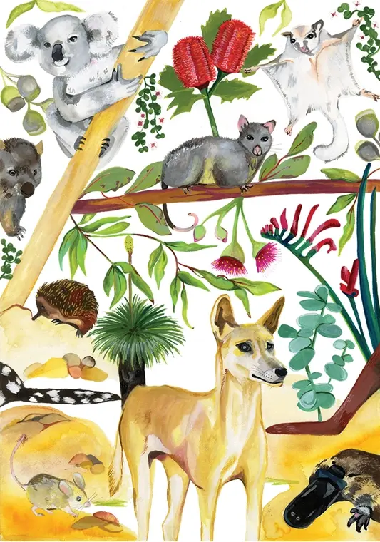 Australian Animals Watercolour Fine Art Print