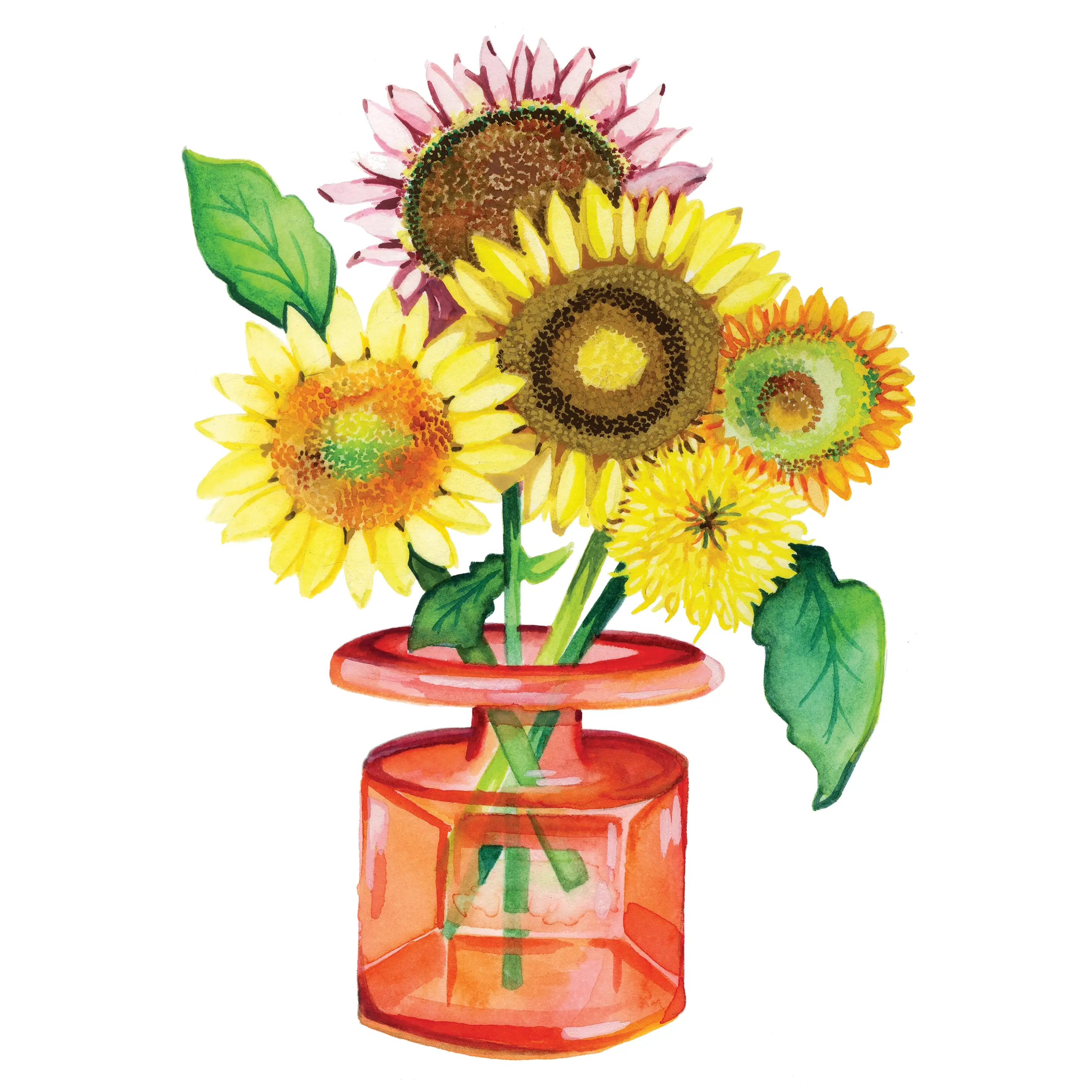 Greeting Card 5 Mixed Pack 