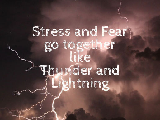 THE DYNAMIC DUO: STRESS AND FEAR