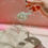 Miniatura: SEPARADORES DE ACRÍLICO