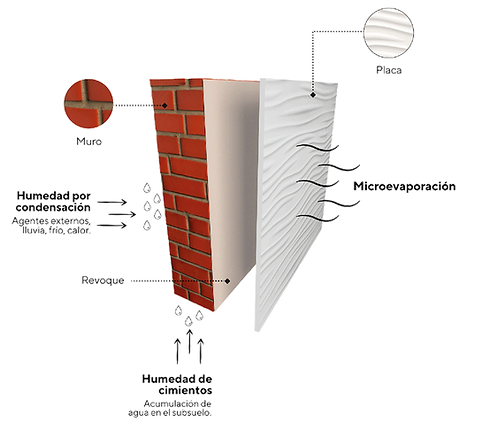 Infografia-Placa.png
