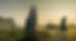external-file_edited.jpg