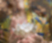 Snapshot_346_edited.jpg