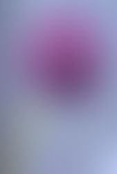 Les fêtes traditionnels qu'il faut pas louper