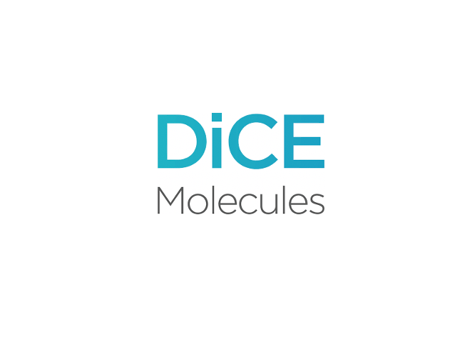 Dice Molecules