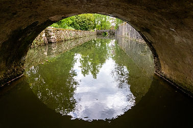 IMG_3266.jpg