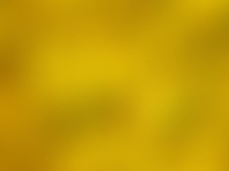 昔からの長寿の習慣