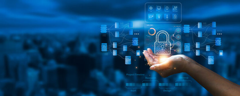 Data Privacy & Protection