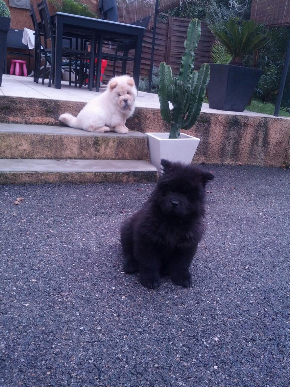 Les 3 J sur la terasse