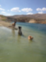 IMG_3317.jpeg