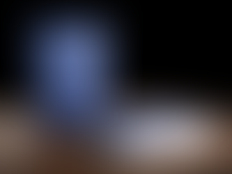 Catalogo Generale 2026: 50 anni di storia