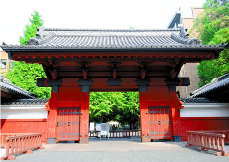 第２弾‼️　清水竣平さん／東京大学 大学院 新領域創成科学研究科先端エネルギー工学専攻　