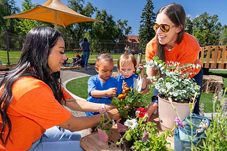 Volunteers planting with children