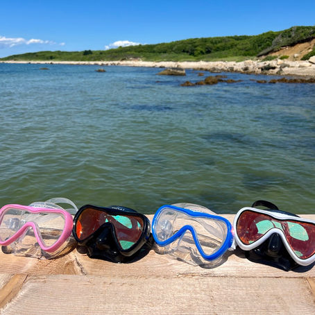 Tidal Mask Wins PADI’s Testers Choice: A Game-Changer for Divers!