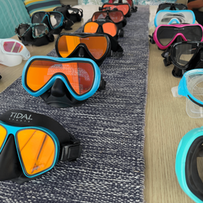 HD Clear Lens Diving Mask vs Tinted Lens Mask - Pros and Cons