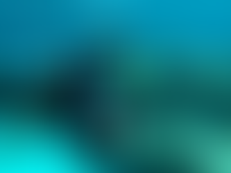 How to Take Professional Underwater Photos With Just Your Smartphone (Android or iPhone)