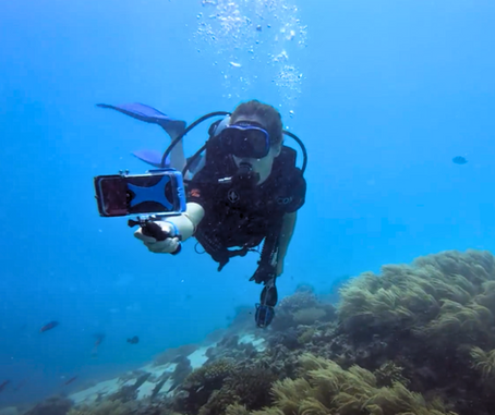 ProShot Dive Case Vs. SeaLife Sport Diver Case