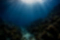 ChatGPT Image Aug 4, 2026, 09_16_25 PM_edited_edited_edited_edited.jpg
