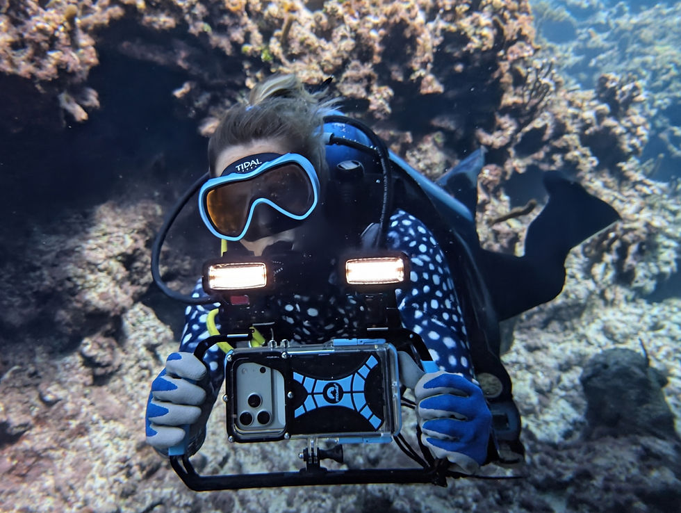 A ProShot Dive Case for iPhone with Tray and Dive Lights capturing the underwater world.