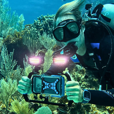 Smartphone Housing vs. GoPro: Which One Should You Take Underwater?