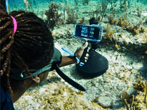 Saving the Blue acoustic receiver shot using the ProShot Dive Universal iPhone Case