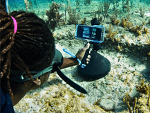 Saving the Blue acoustic receiver shot using the ProShot Dive Universal iPhone Case