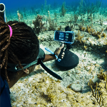 Saving the Blue acoustic receiver shot using the ProShot Dive Universal iPhone Case