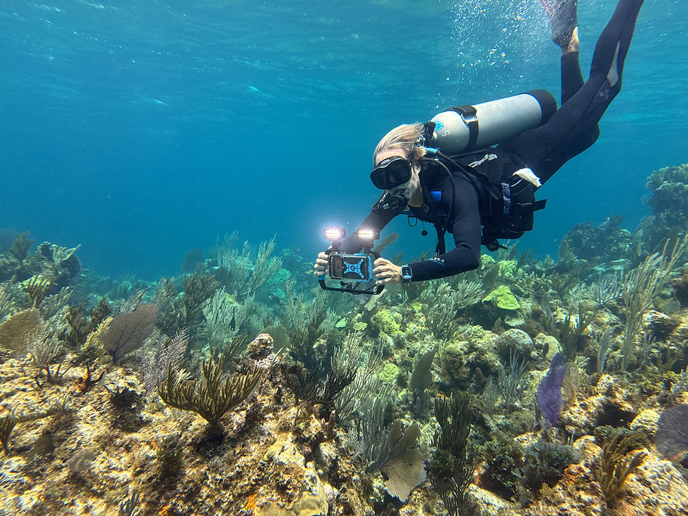 Thumbnail: LED dive light accessory for underwater videography and photography rigs