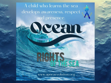 Educare al Mare 🌊 