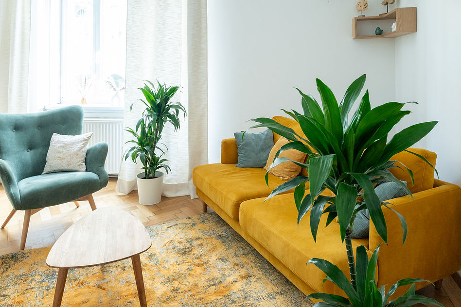 Praxta_Jungbrunnen_Therapieeinheiten (1).jpg