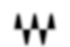 waves_logo.png
